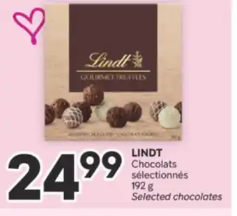 Brunet LINDT Chocolats sélectionnés offer