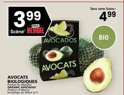 Rachelle-Bery Grocery ORGANIC AVOCADOS offer