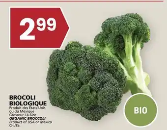 Rachelle-Bery Grocery ORGANIC BROCCOLI offer