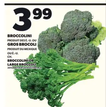 Provigo BROCCOLINI OU GROS BROCOLI offer