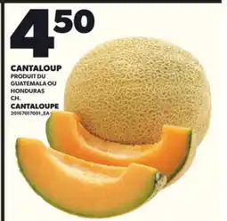 Provigo CANTALOUP offer