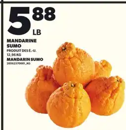 Provigo MANDARINE SUMO, 12,96 KG offer