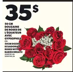 Provigo 50 CM DOUZAINE DE ROSES DE L'ÉQUATEUR AVEC GYPSOPHILE offer