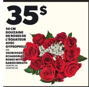 Provigo 50 CM DOUZAINE DE ROSES DE L'ÉQUATEUR AVEC GYPSOPHILE offer