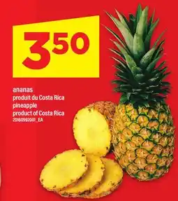 Maxi ANANAS offer