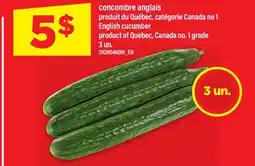 Maxi CONCOMBRE ANGLAIS, 3 UN offer