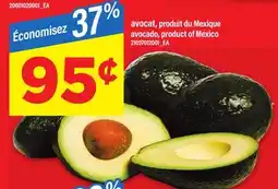 Maxi avocat, produit du Mexique offer