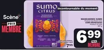 Marches Tradition SUMO MANDARINS offer