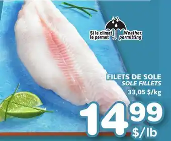 Marches Tradition SOLE FILLETS offer