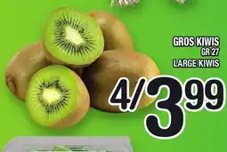 Marche Ami GROS KIWIS GR 27 | LARGE KIWIS offer