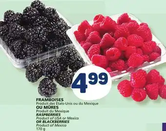 Marché Bonichoix RASPBERRIES Product of USA or Mexico OR BLACKBERRIES Product of Mexico offer