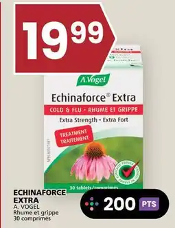 Rachelle-Bery Grocery A. VOGEL ECHINAFORCE EXTRA offer