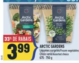 Marché Adonis ARCTIC GARDENS LÉGUMES SURGELÉS |FROZEN VEGETABLES offer