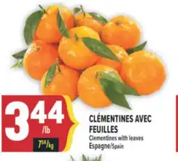 Marché Adonis CLÉMENTINES AVEC FEUILLES | CLEMENTINES WITH LEAVES offer