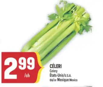 Marché Adonis CÉLERI | CELERY offer