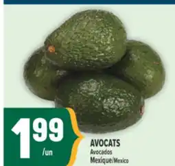 Marché Adonis AVOCATS | AVOCADOS offer