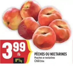 Marché Adonis PÊCHES OU NECTARINES Peaches or nectarines Chili | Chile offer