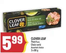 Marché Adonis CLOVER LEAF THON | CLOVER LEAF TUNA offer