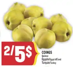 Marché Adonis COINGS | QUINCE offer