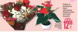 Jean Coutu Selected plants and flower bouquets offer