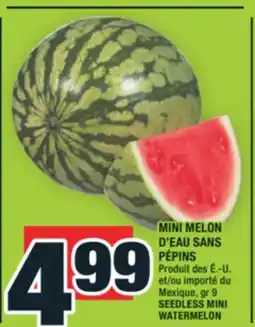 Super C MINI MELON D'EAU SANS PÉPINS | SEEDLESS MINI WATERMELON offer