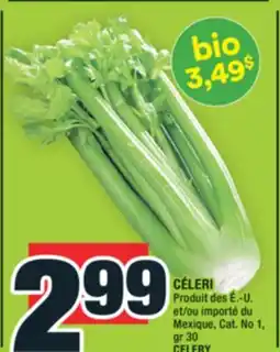 Super C CELERY | CELERY offer