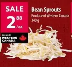 Co-op Bean Sprouts offer