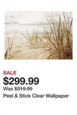 Wayfair Peel & Stick Clear Wallpaper offer