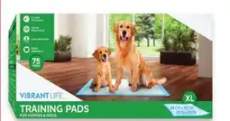 Walmart Vibrant Life Training Pads offer