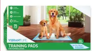 Walmart Vibrant Life Training Pads offer