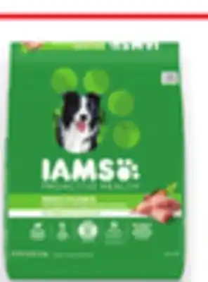 Walmart IAMS Dry Dog Food offer