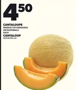 Independent Grocer CANTALOUPE offer