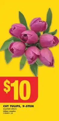 No Frills CUT TULIPS, 9-STEM offer