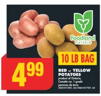 No Frills RED or YELLOW POTATOES, 10 LB BAG offer