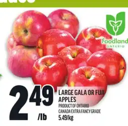 Metro LARGE GALA OR FUJI APPLES offer