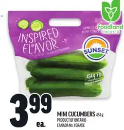 Metro MINI CUCUMBERS offer