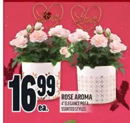 Metro ROSE AROMA offer