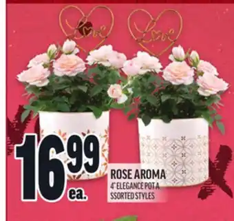 Metro ROSE AROMA offer