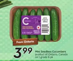 Sobeys Mini Seedless Cucumbers offer