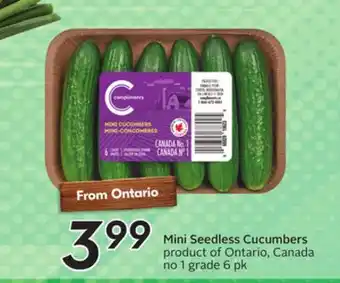 Sobeys Mini Seedless Cucumbers offer