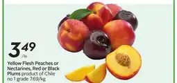 Sobeys Yellow Flesh Peaches or Nectarines, Red or Black Plums offer