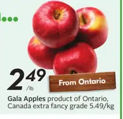 Sobeys Gala Apples offer