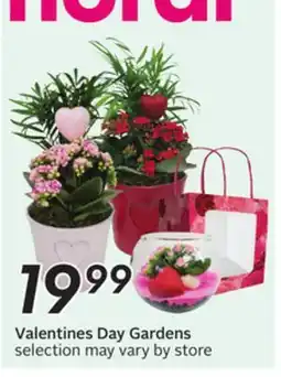 Sobeys Valentines Day Gardens offer