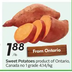 Sobeys Sweet Potatoes offer