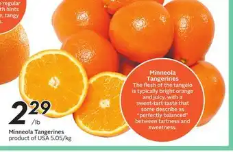 Sobeys Minneola Tangerines offer