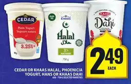 Food Basics CEDAR OR KHAAS HALAL, PHOENICIA YOGURT, HANS OR KHAAS DAHI offer