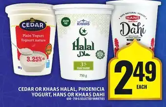 Food Basics CEDAR OR KHAAS HALAL, PHOENICIA YOGURT, HANS OR KHAAS DAHI offer