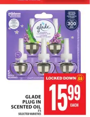 Food Basics GLADE PLUG IN SCENTED OIL offer