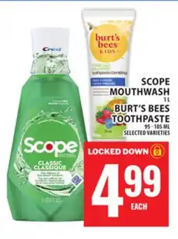 Food Basics SCOPE MOUTHWASH OR BURT'S BEES TOOTHPASTE offer