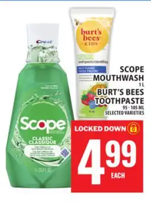 Food Basics SCOPE MOUTHWASH OR BURT'S BEES TOOTHPASTE offer